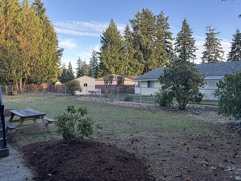 View of the spacious back yard
