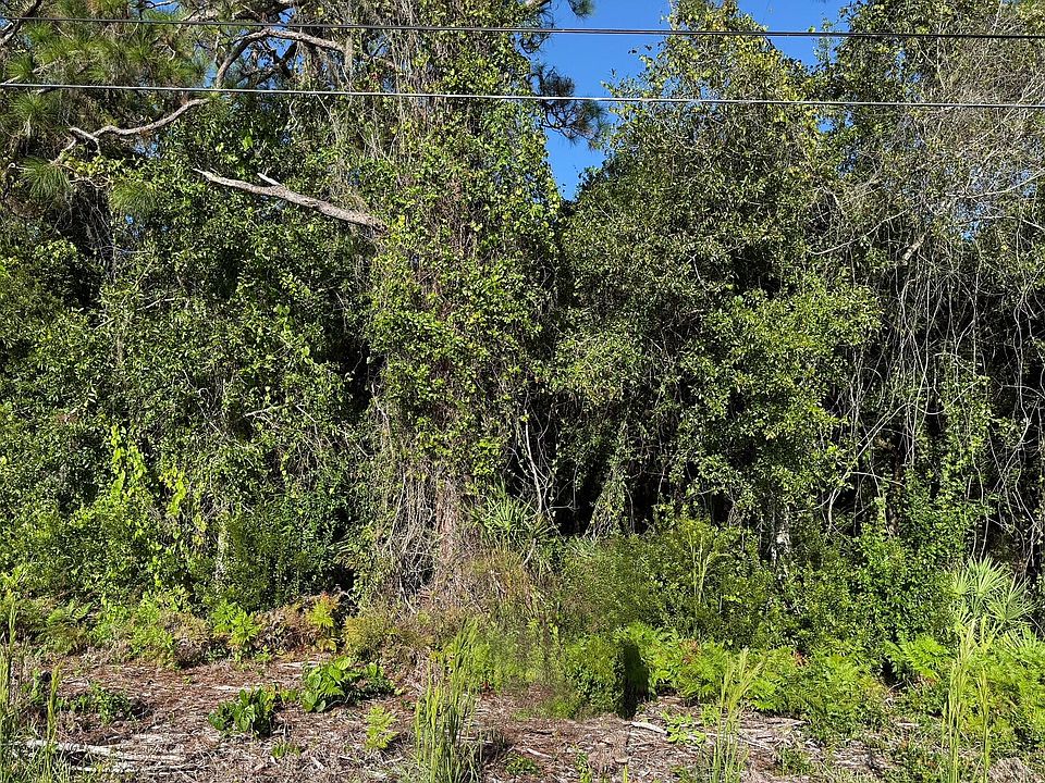 2nd image of 0 Magnolia Drive