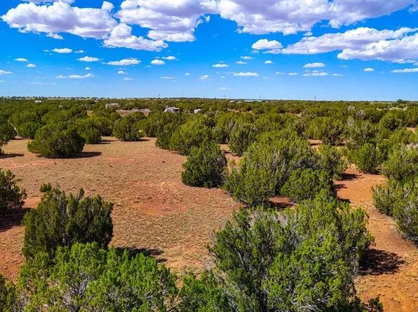 8774 CORONADO Drive #42, Show Low, AZ 85901