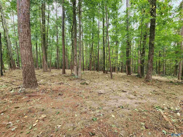 11 Dogwood Dr, Laceys Spring, AL 35754