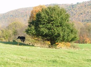 139 Brighton Rd, Worcester, NY 12197