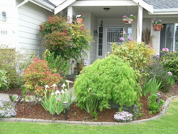 Colorful plants and scrubs in the entry both annual and perinnails
