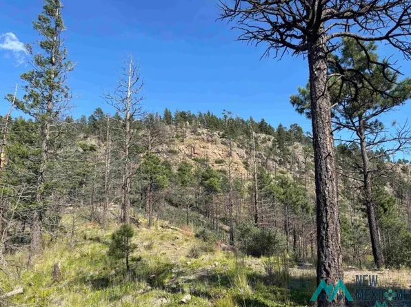 4 W Canyon Loop, Mora, NM 87732