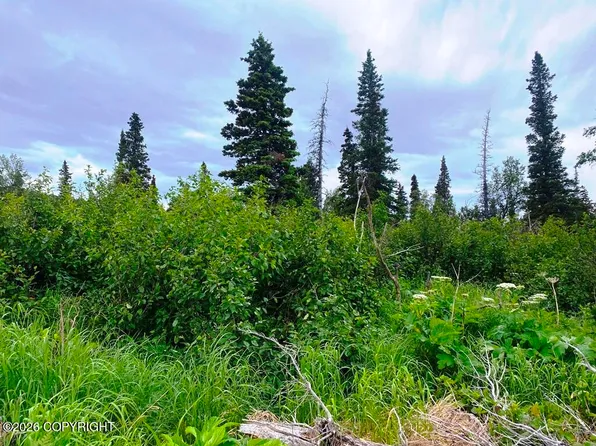 LOT-13A Alta Ct, Anchorage, AK 99516