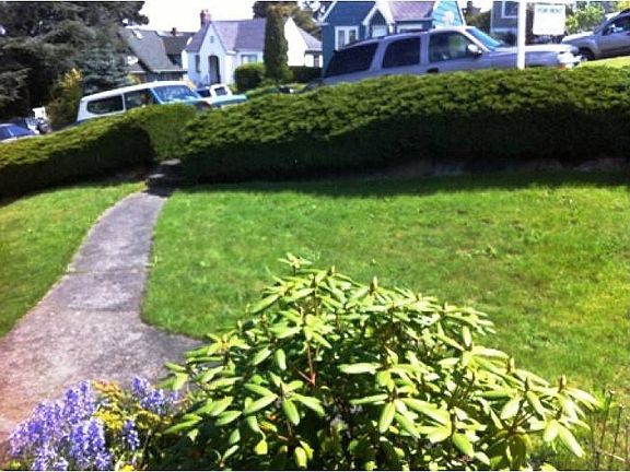 Yard