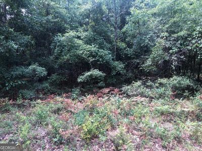 2323 Old Augusta Rd, Clyo, GA, 31303