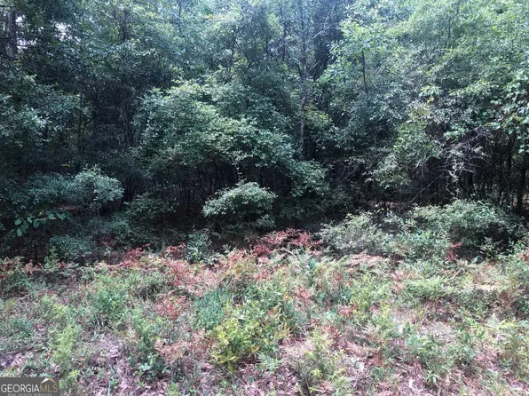 2323 Old Augusta Rd, Clyo, GA 31303