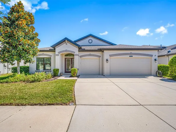 8144 Mallow Mirror Ln, Land O Lakes, FL 34637