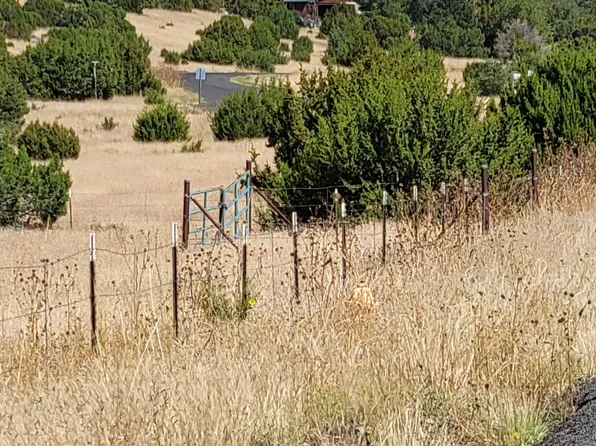 W Lesueur Dr, Eagar, AZ 85925