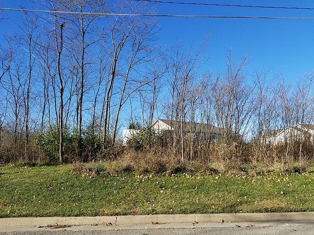 2nd image of LOT 56 Oak Ct