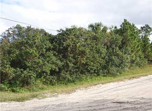 5th image of  Hamlin Boulevard