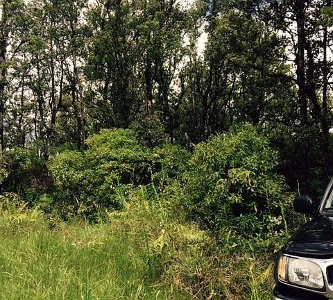 4th image of Road 9 Koloa Maoli Lot 5323