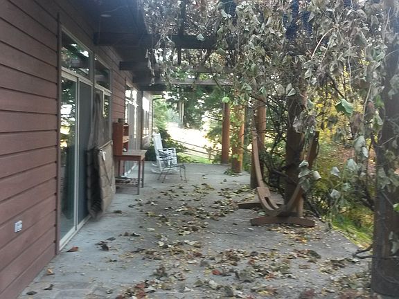 grape pergola/pool bldg