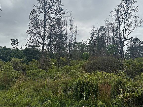 4th image of 14th Ave Lot 462