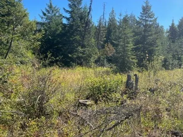 LOT-3XX Leclerc Rd N #12, Ione, WA 99139