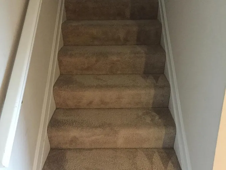 Stairs to Loft