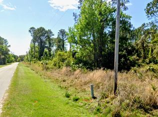 Palm Way, Georgetown, FL 32139