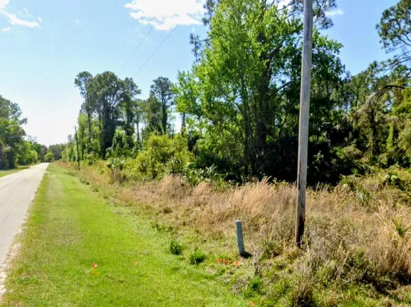 Palm Way, Georgetown, FL 32139