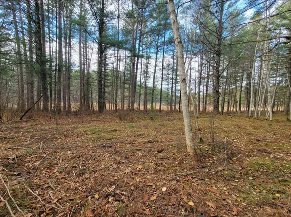 LOT 10 Charles Ct Lot 10, Hazelhurst, WI 54531
