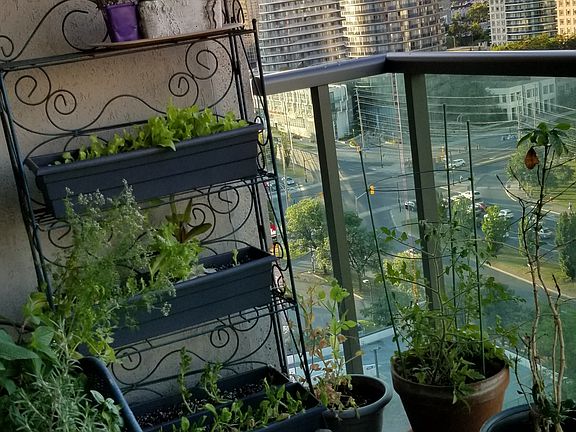 Large balcony with nice views