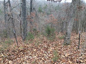 2nd image of N Keener Ln
