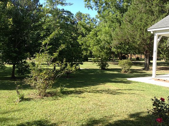 1582 side yard_11062024
