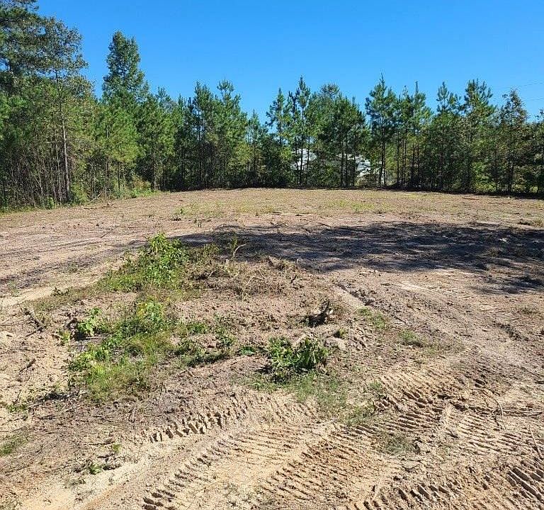 2nd image of 1208 Ben Wink Rd
