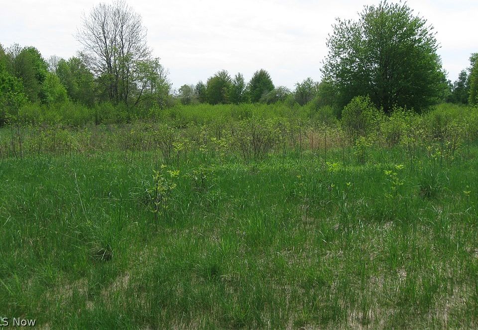 2nd image of Perry Rd