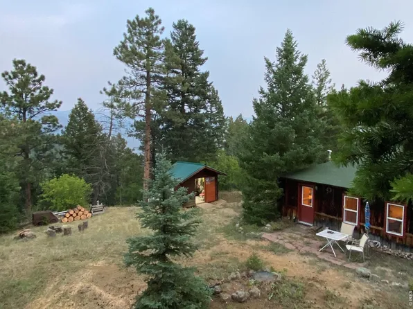 2926 Magnolia Dr, Nederland, CO 80466
