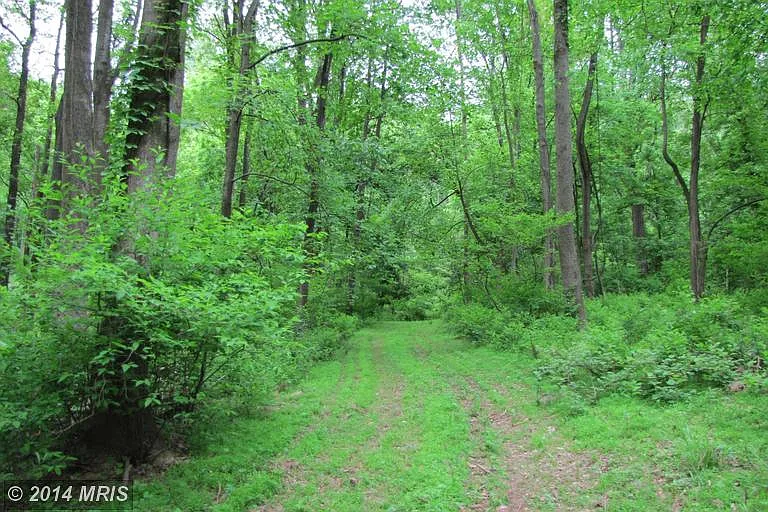 11414 Harpers Ferry Rd photo 1