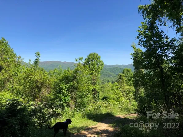 0 Mailon King Rd, Leicester, NC 28748