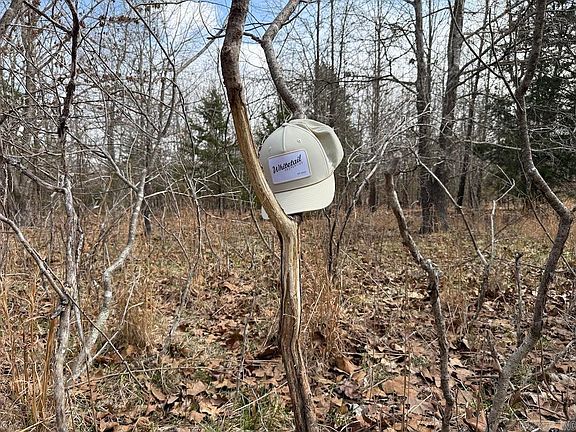 3rd image of Red Bud Rd