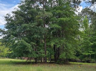 0 Dogwood McRae, Mc Rae Helena, GA 31055