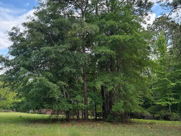 0 Dogwood McRae, Mc Rae Helena, GA 31055