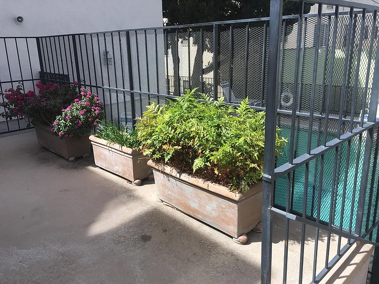 2055 Rodney Dr — Photo 4