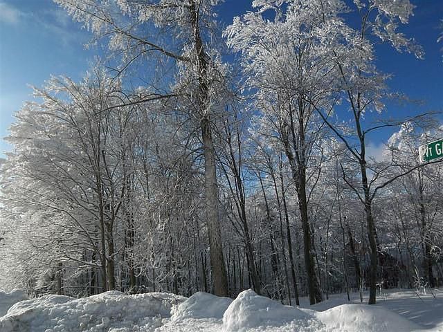 2nd image of 150 Thatcher Rd