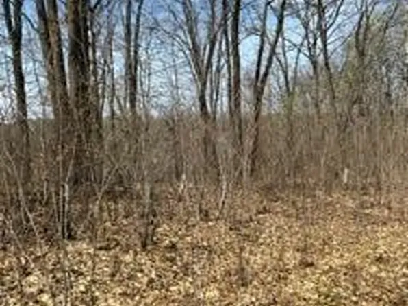 Xxx Sapphire Ln, Cushing, MN 56443