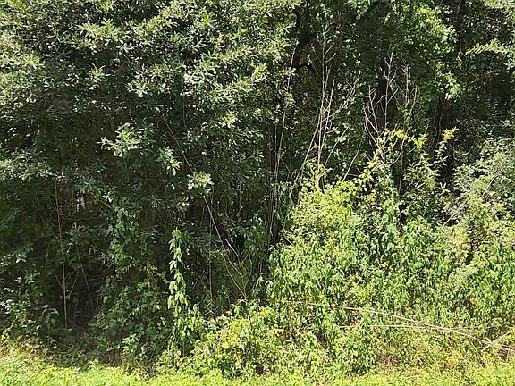 4th image of 61 W Essex Dr