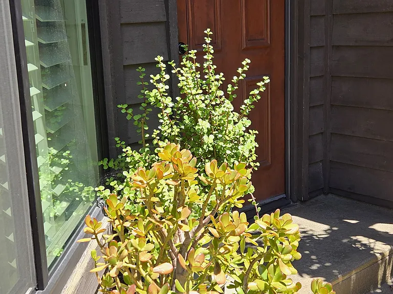 15050 Sherman Way #162 — Photo 26