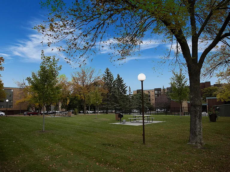 10 BBQ grill picnic areas