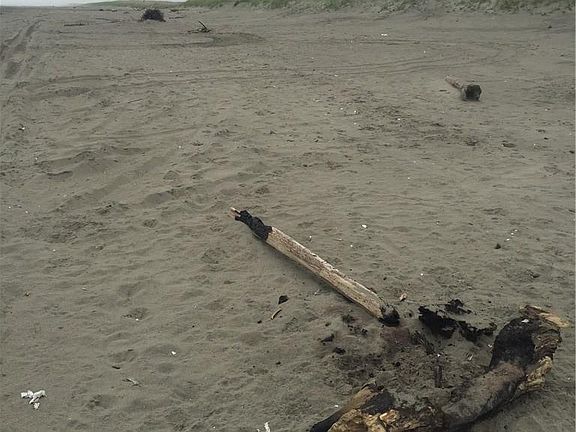 5th image of 407 W Lands End Ln