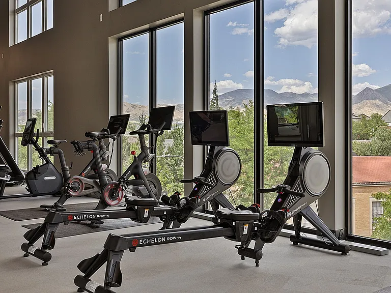 Fitness Center Rowing Machines