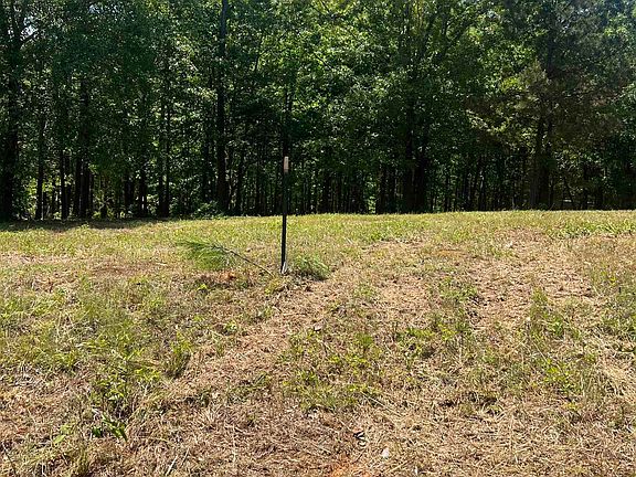 4th image of LOT 1 County Road 1009