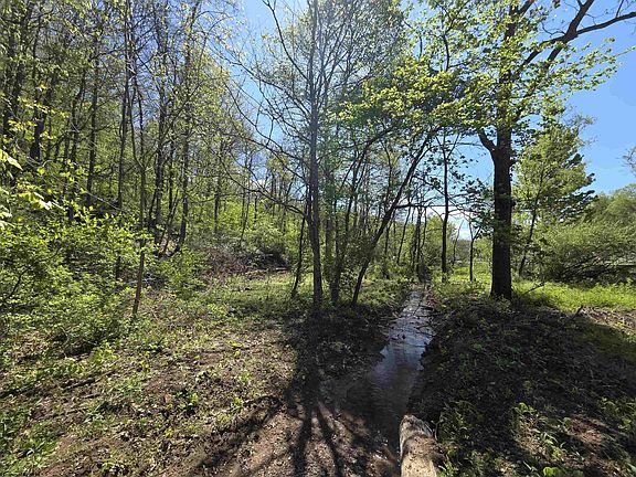 5th image of 13 Tymber Creek Dr
