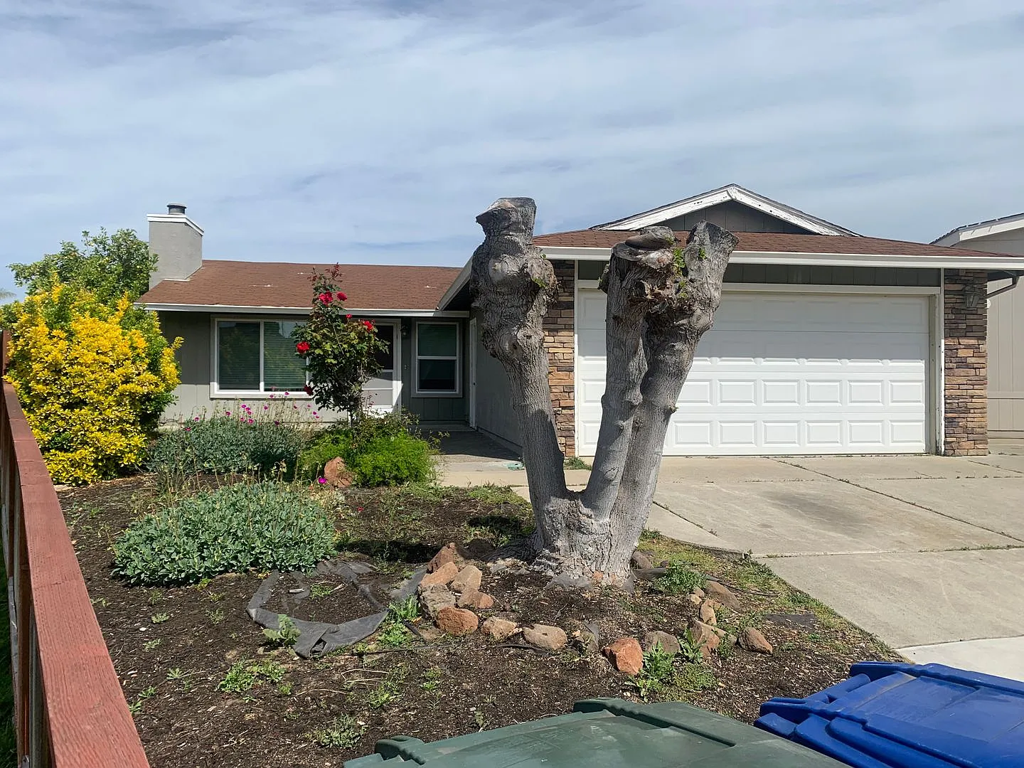 55 Simons Ct photo 1