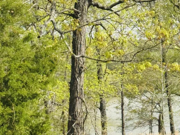 LOT 8 Tradition Dr #8, Benton, KY 42025