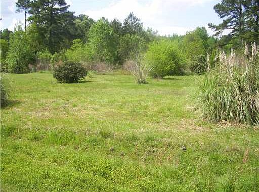 2nd image of 174 Vidalia Rd