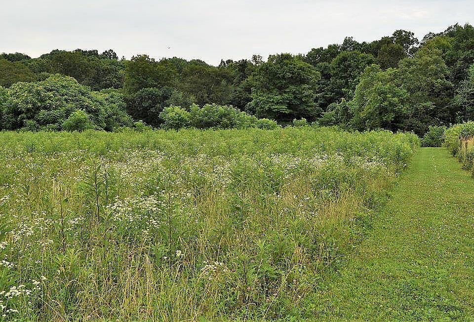 1st image of 6415 County Road 52
