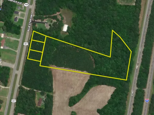 Blue Star Hwy Lot Wp001, Jarratt, VA 23867