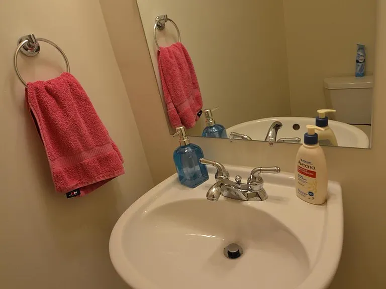 2946 Saxon Flowers Dr — Photo 38